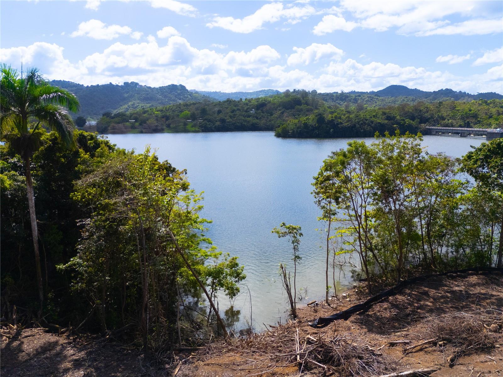 CARR 827 KM 5.0, INTERIOR, BO. ORTIZ, LOT 2