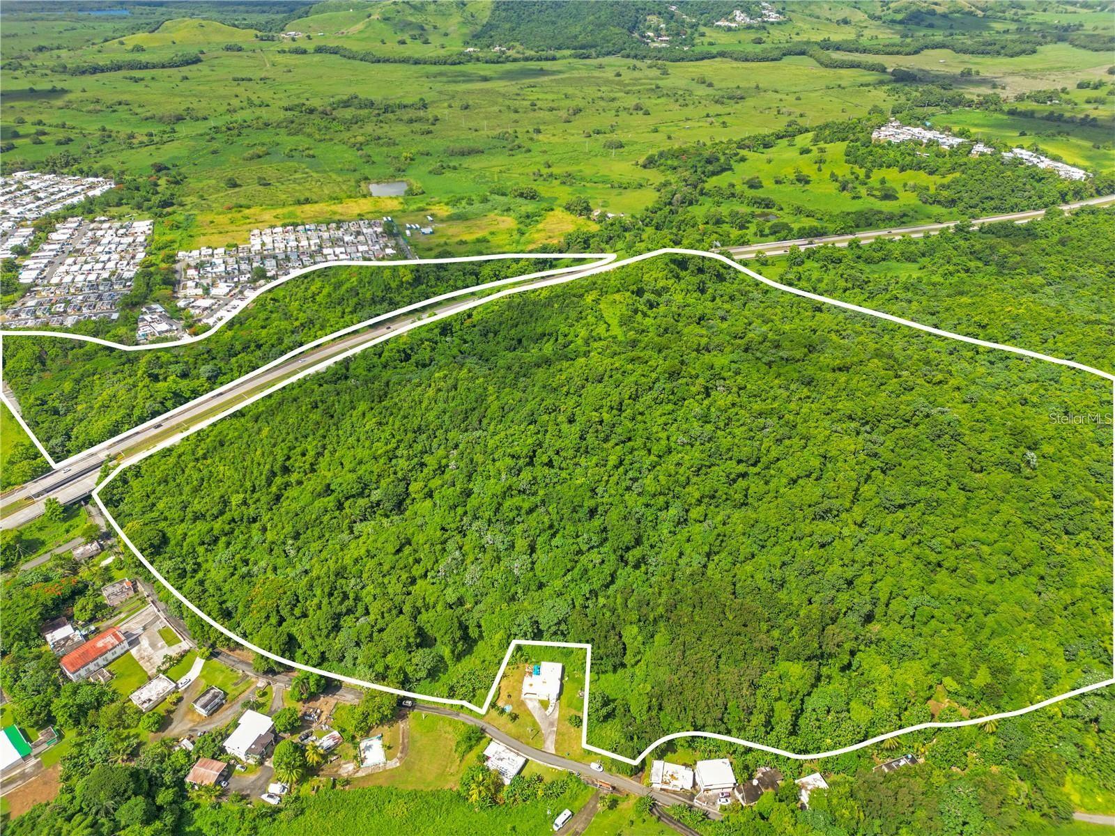 BO MAIZALES CALLE BORGES FINAL