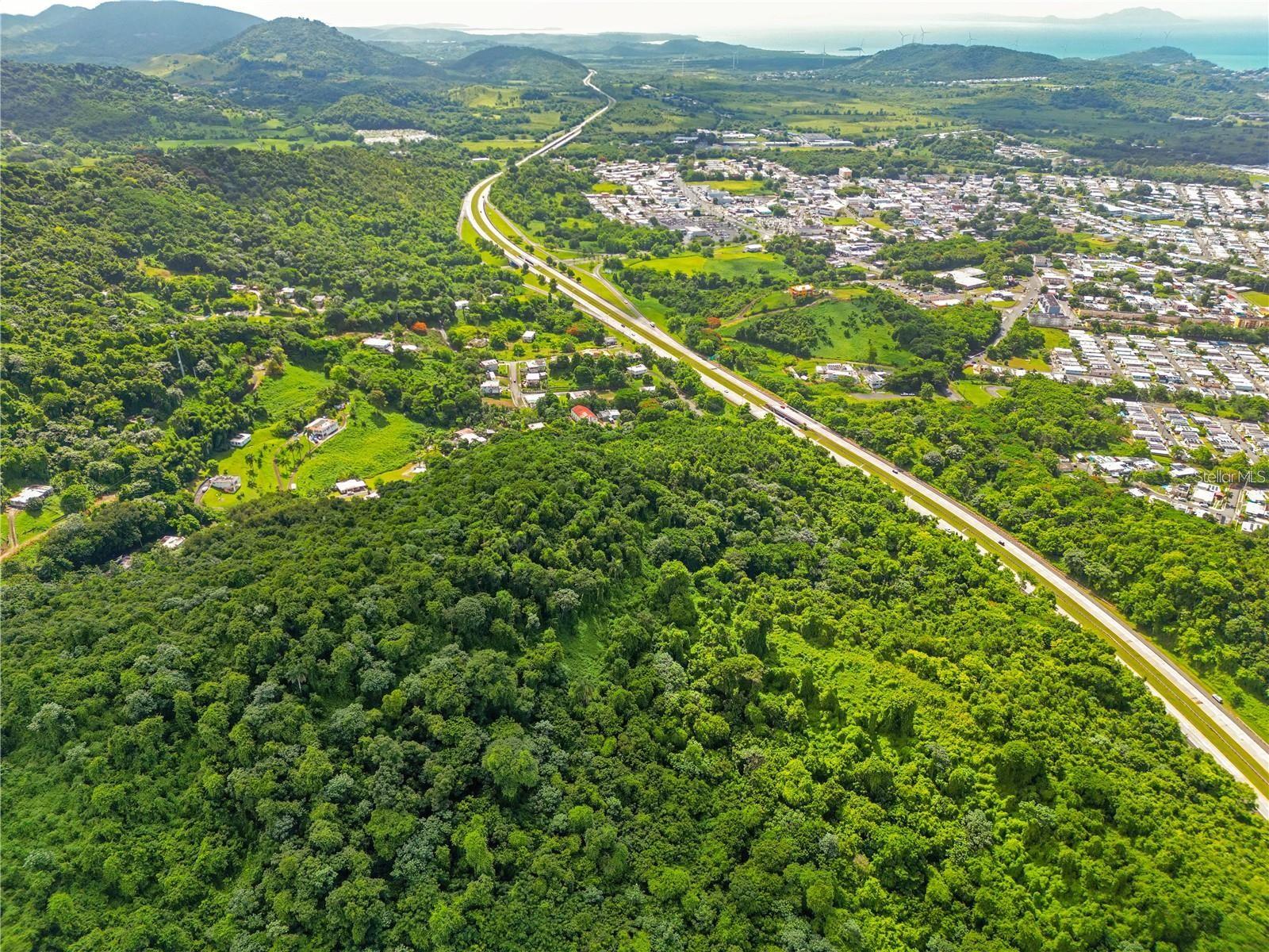 BO MAIZALES CALLE BORGES FINAL