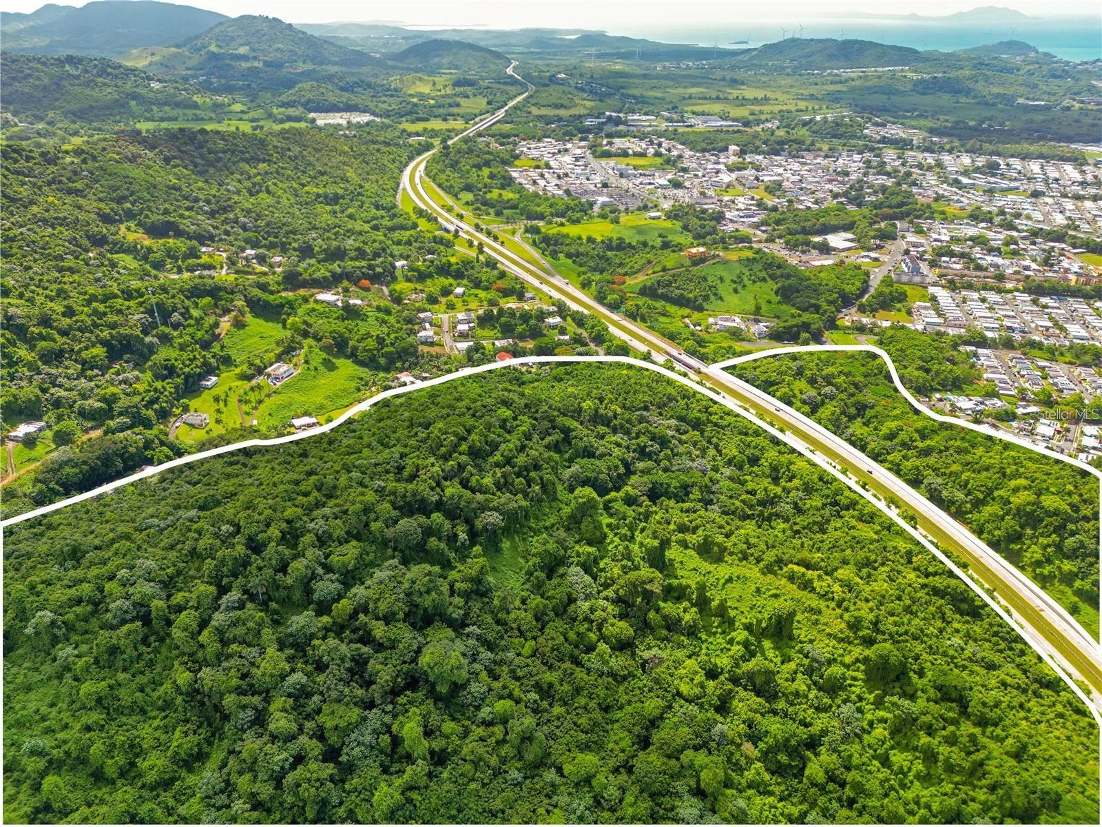 BO MAIZALES CALLE BORGES FINAL