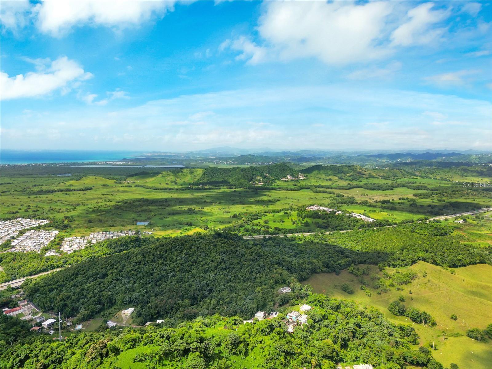 BO MAIZALES CALLE BORGES FINAL