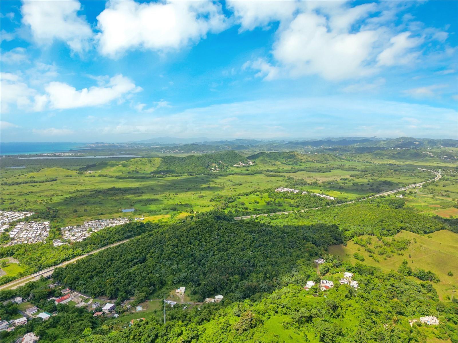 BO MAIZALES CALLE BORGES FINAL