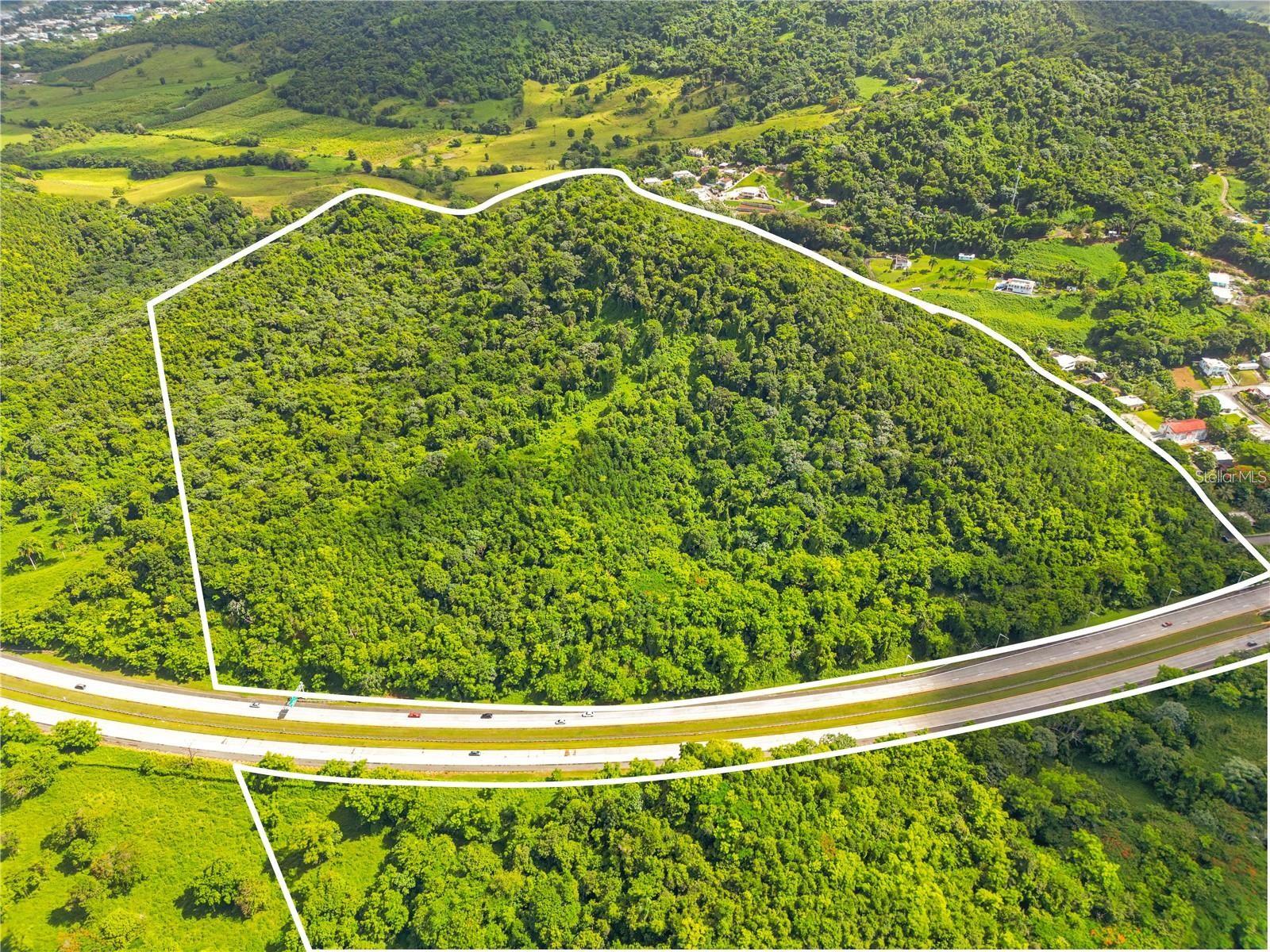 BO MAIZALES CALLE BORGES FINAL