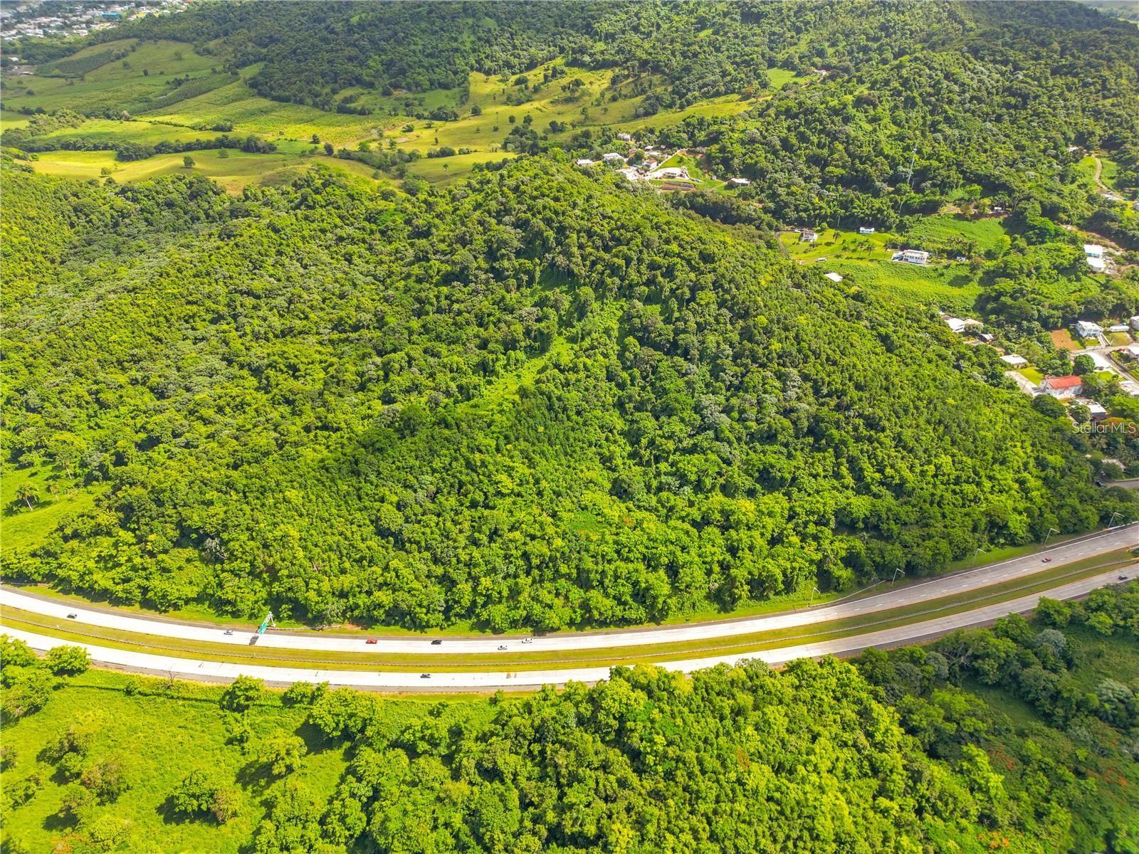 BO MAIZALES CALLE BORGES FINAL