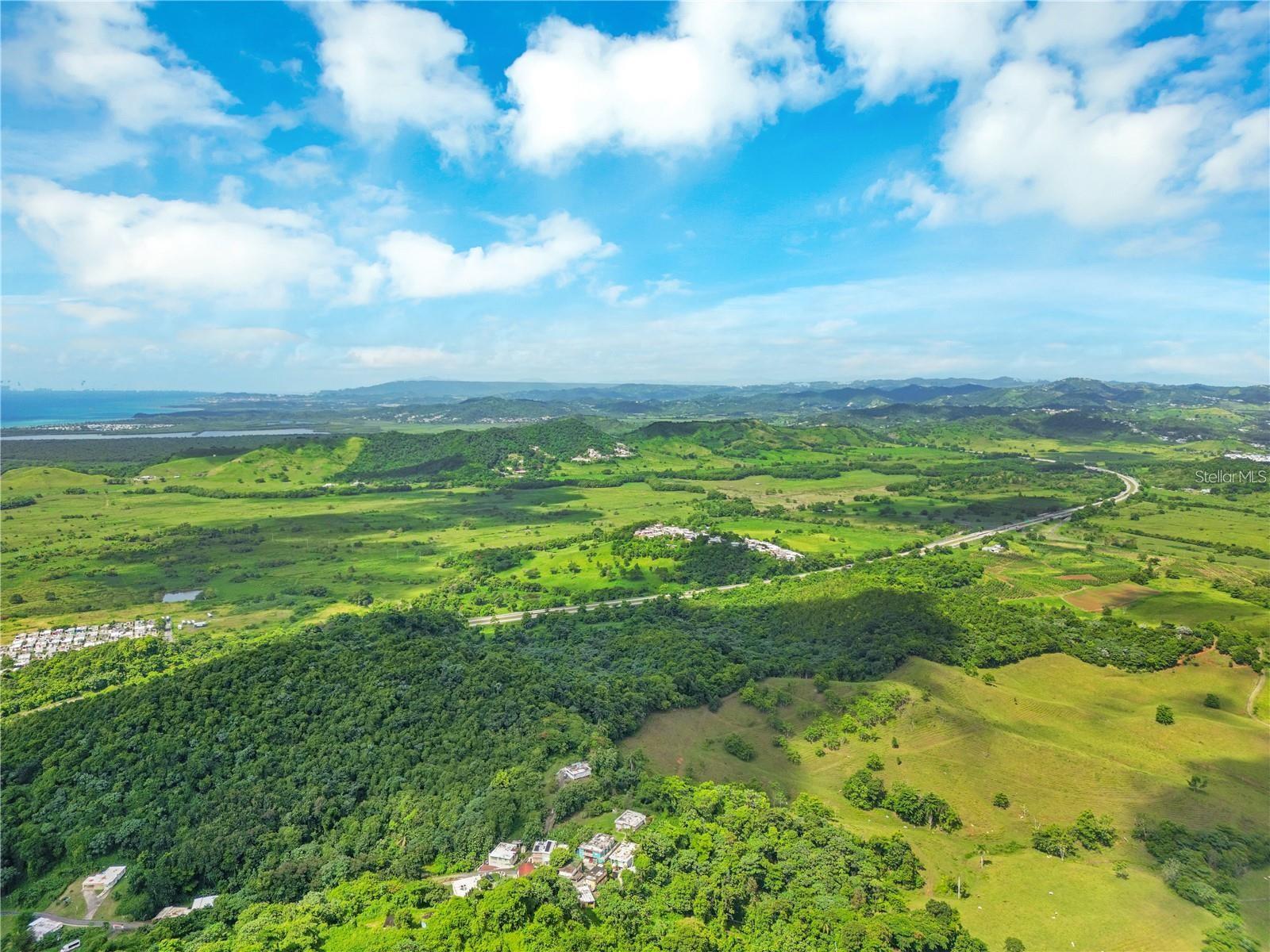 BO MAIZALES CALLE BORGES FINAL