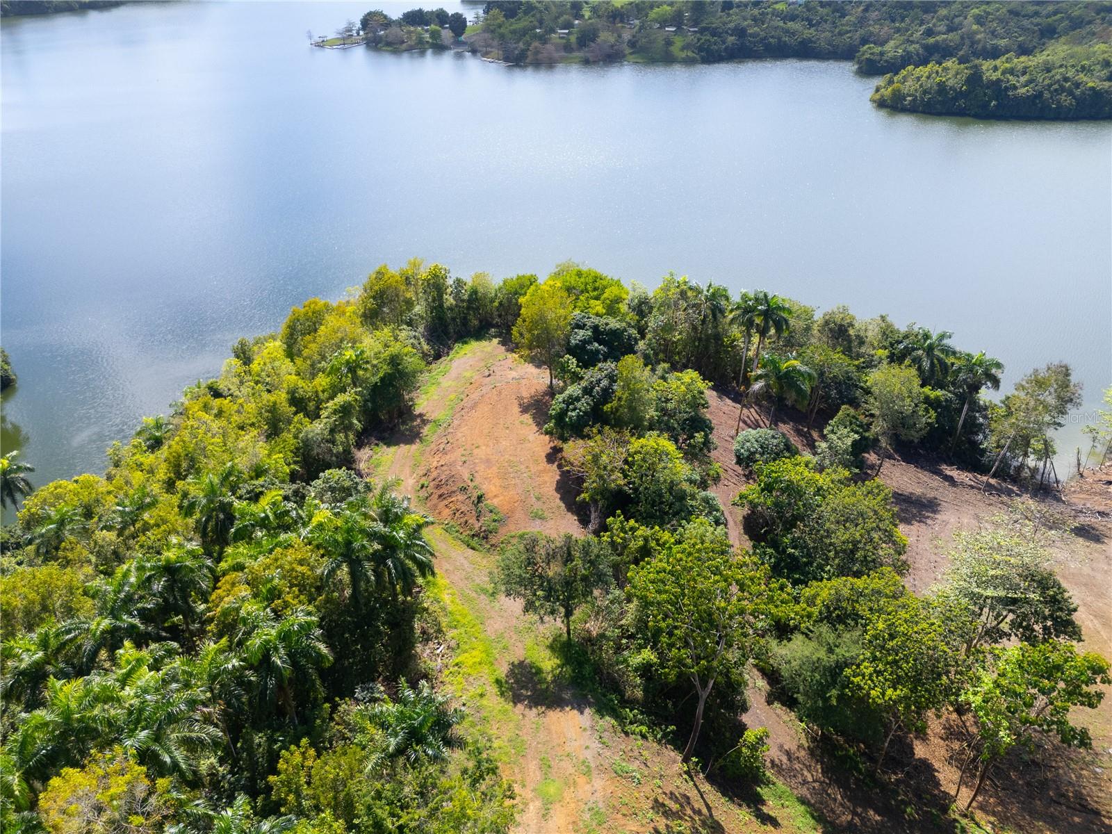 827 KM 5.0 INTERIOR BO. ORTIZ