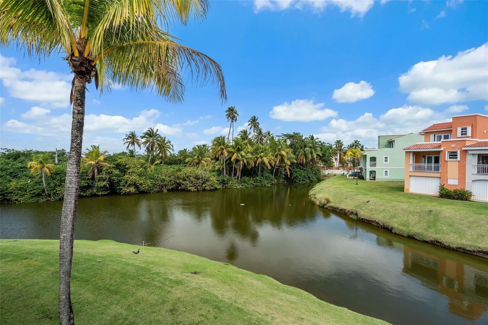 195 CANDELERO DRIVE #6232