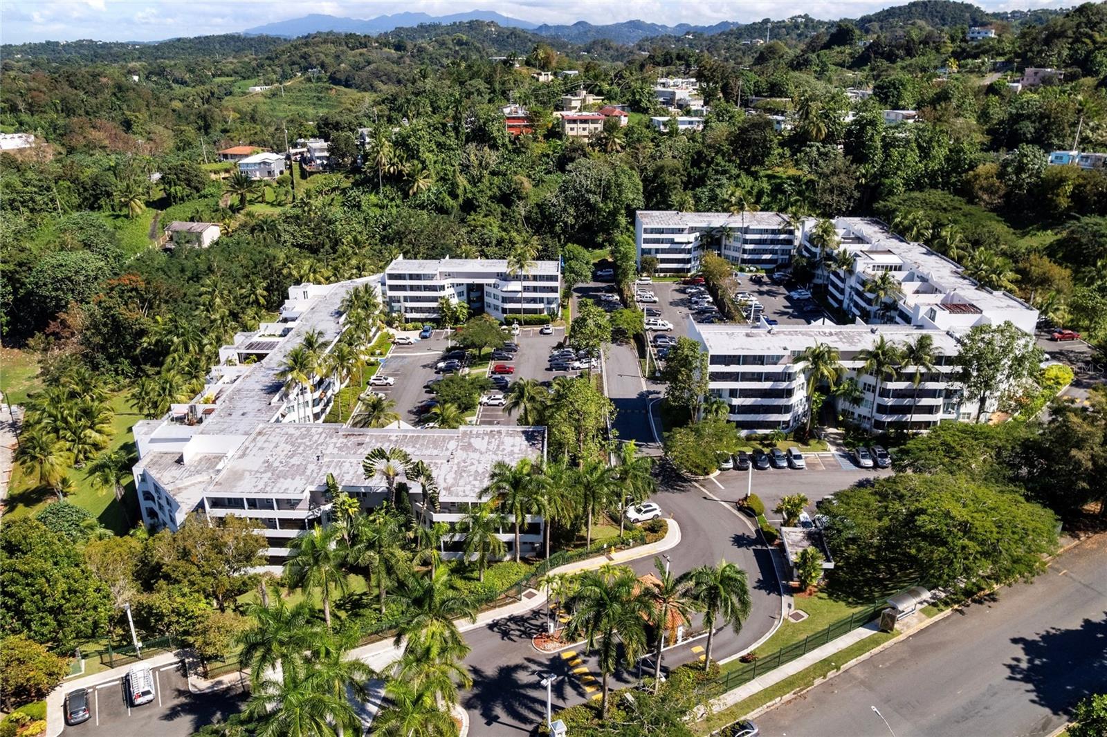 1500 AVE MONTEHIEDRA #303