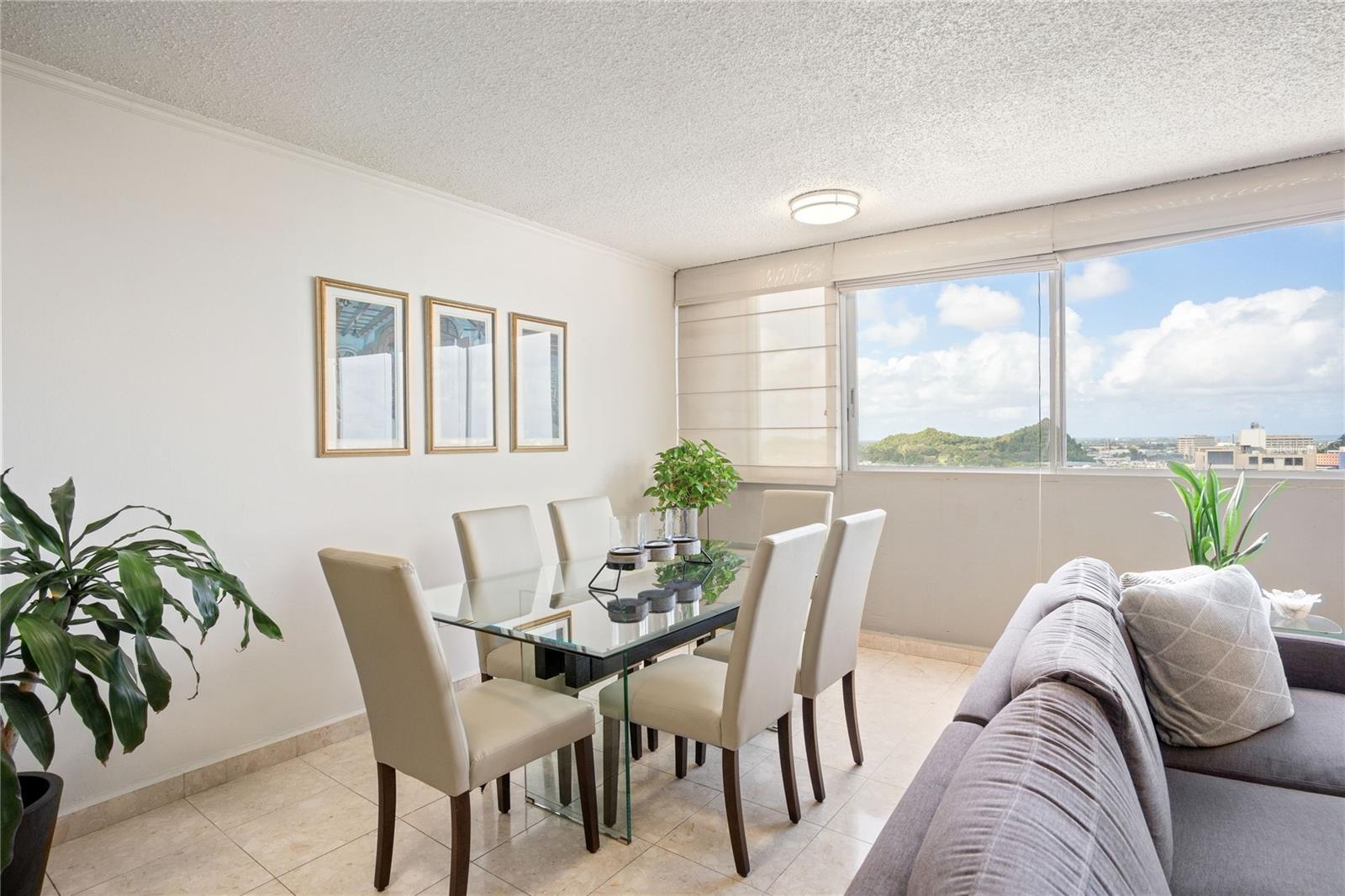 1704 SAN PATRICIO AVE #1704