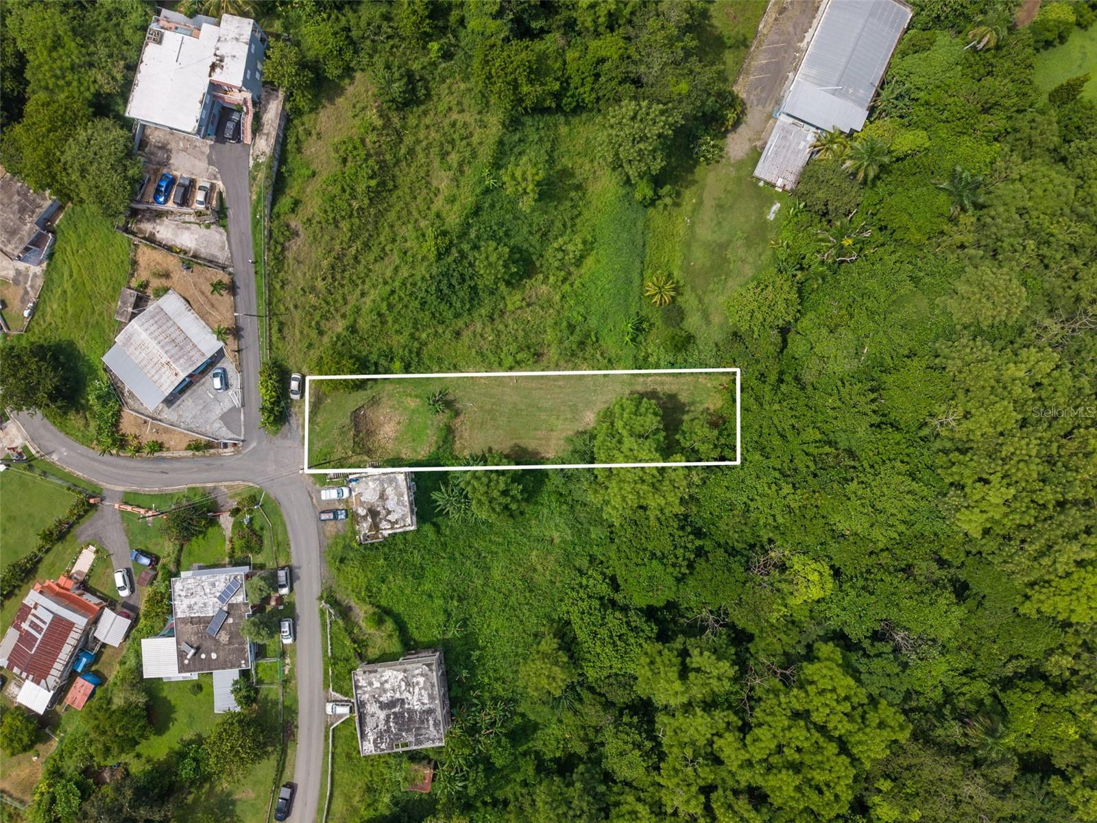 Aerial view of a narrow vacant lot outlined in white beside a residential road and dense greenery.