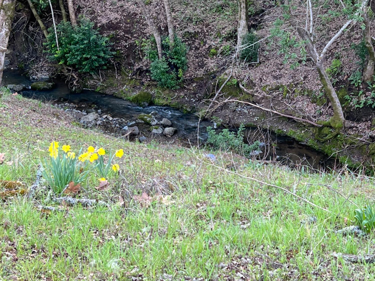 4701 Wallace Creek Rd