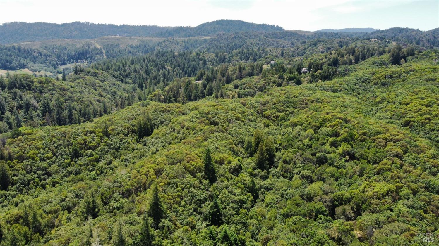 6445 Mountain View Ranch Rd