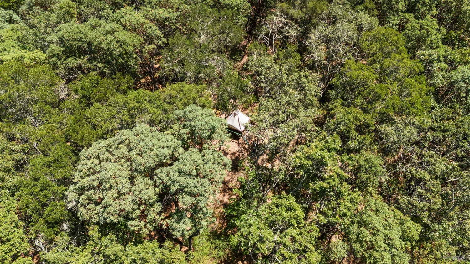 6445 Mountain View Ranch Rd