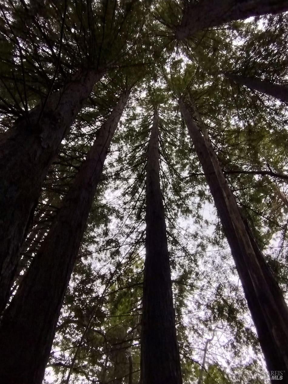 6445 Mountain View Ranch Rd