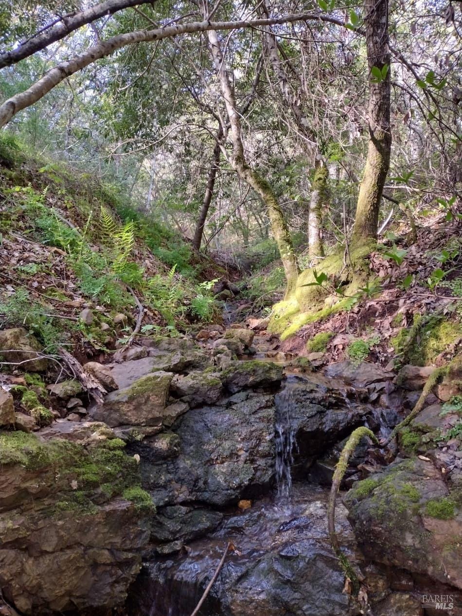 6445 Mountain View Ranch Rd