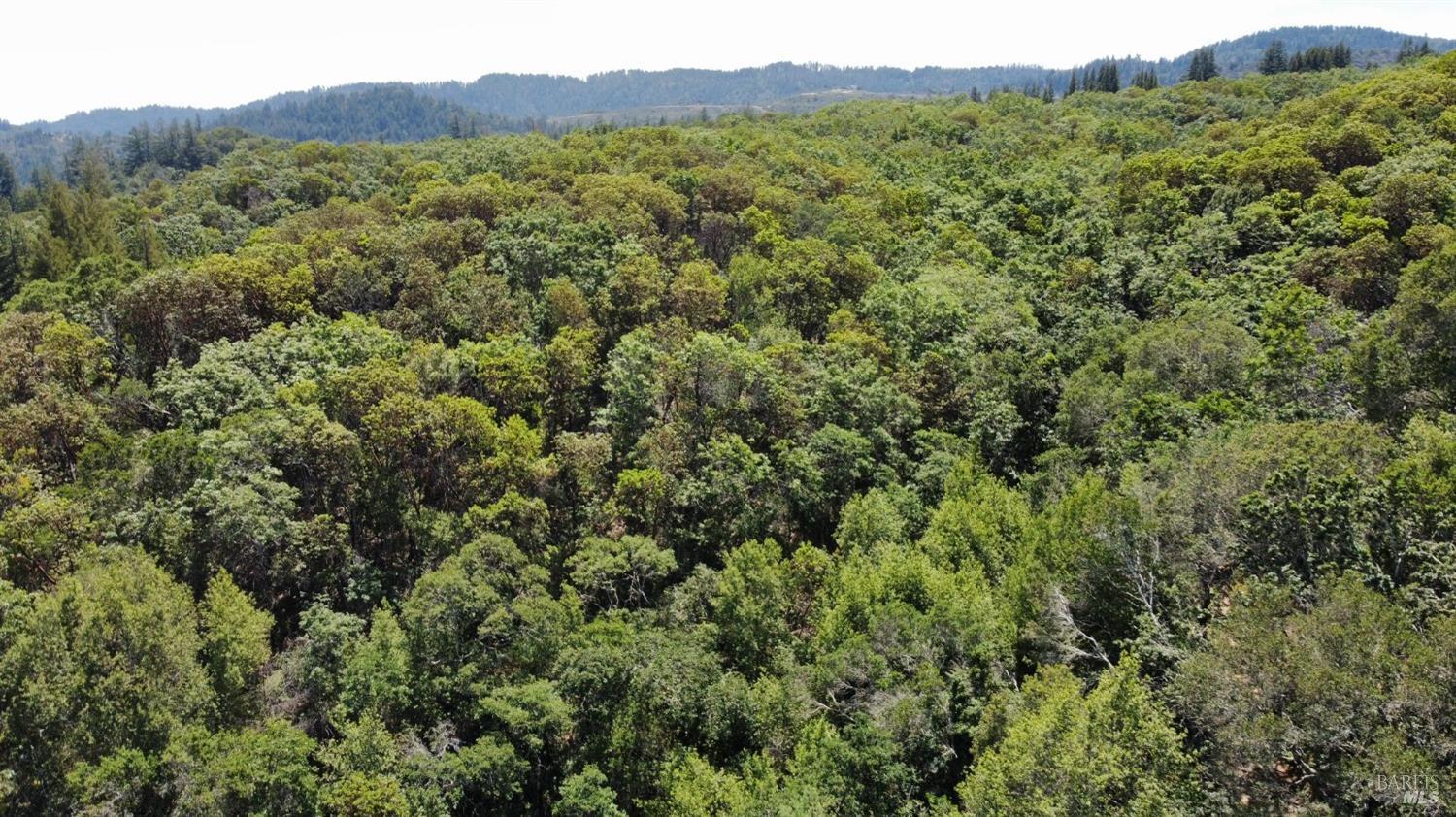 6445 Mountain View Ranch Rd