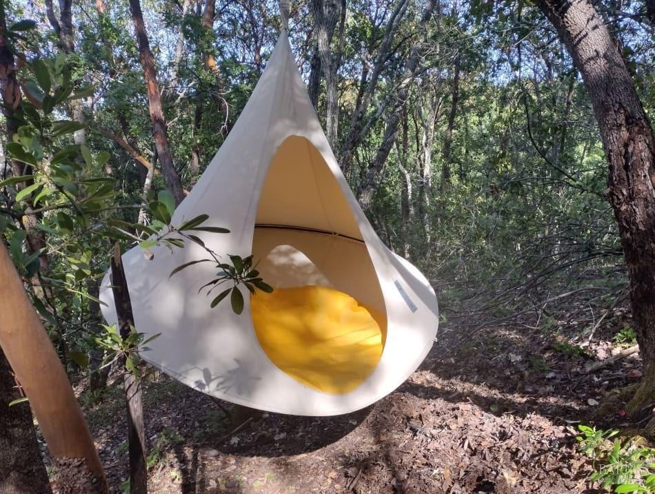 6445 Mountain View Ranch Rd