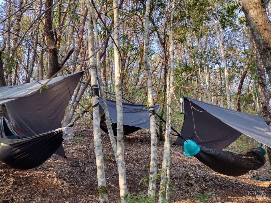 6445 Mountain View Ranch Rd