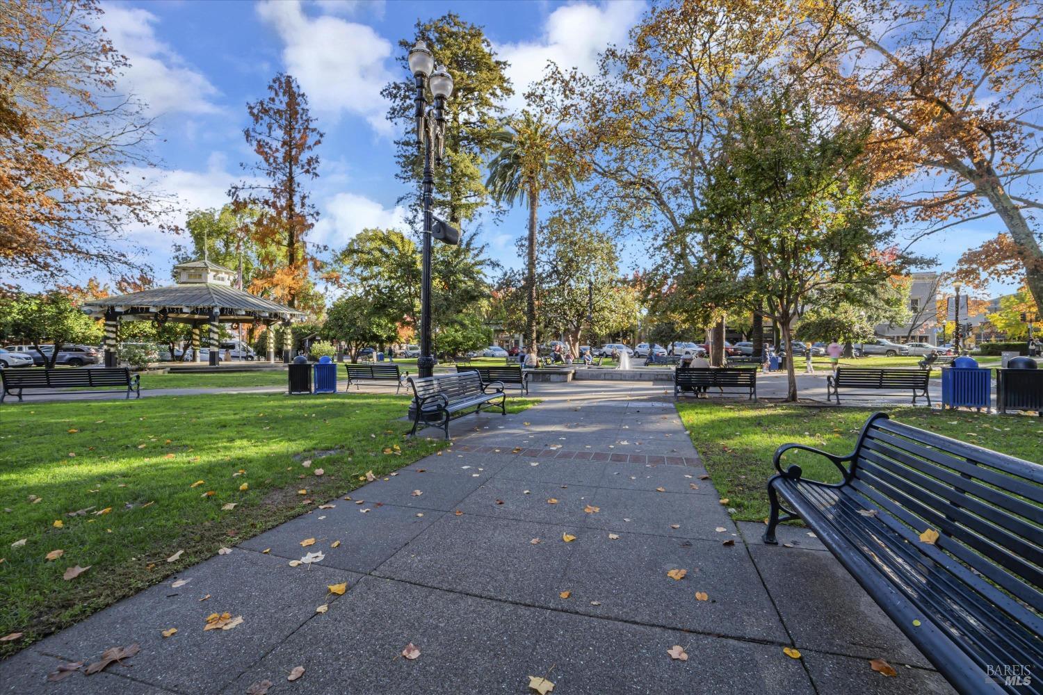 131 Sawmill Cir #203