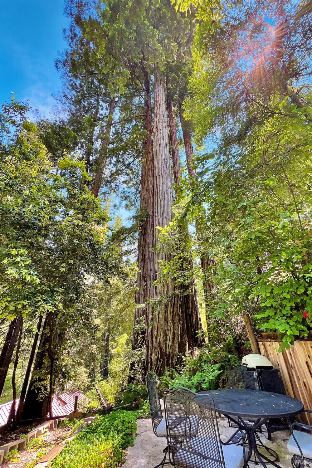 5600 Austin Creek Rd