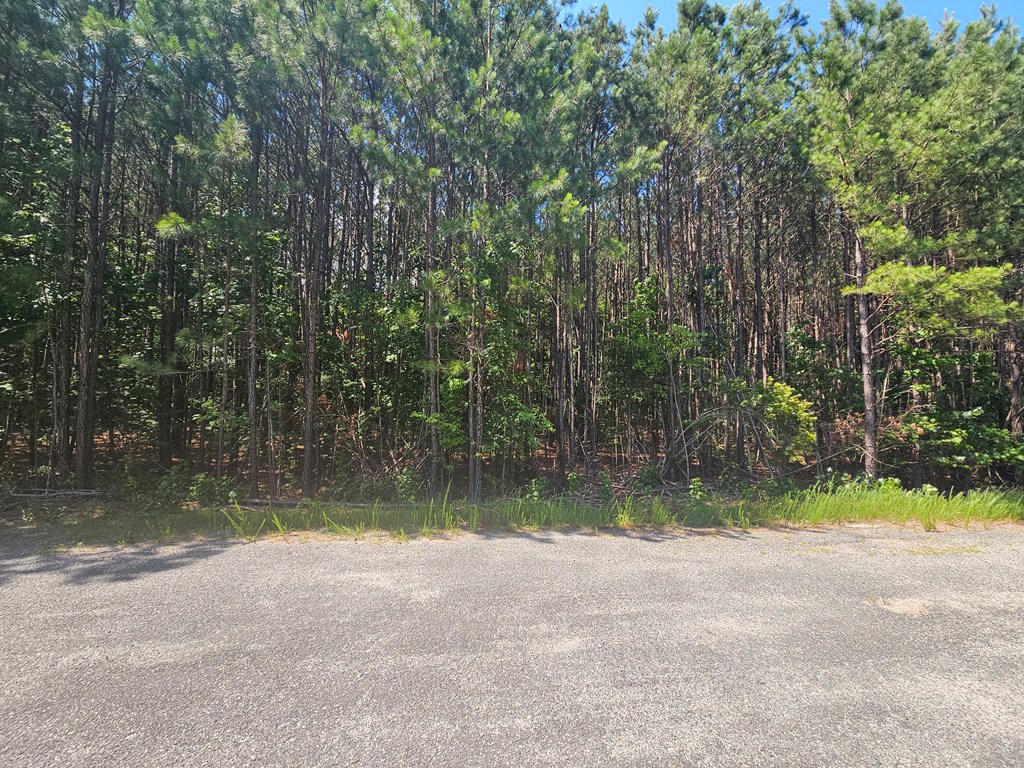 Lot 41 Stoneman Lane