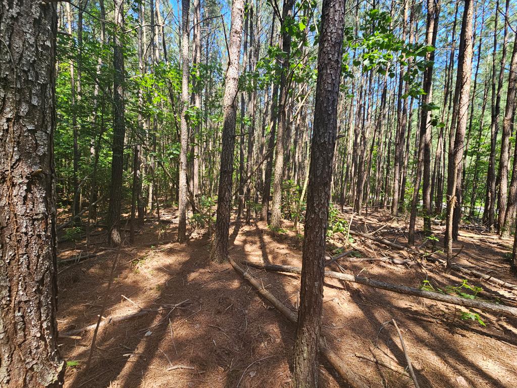 Lot 41 Stoneman Lane