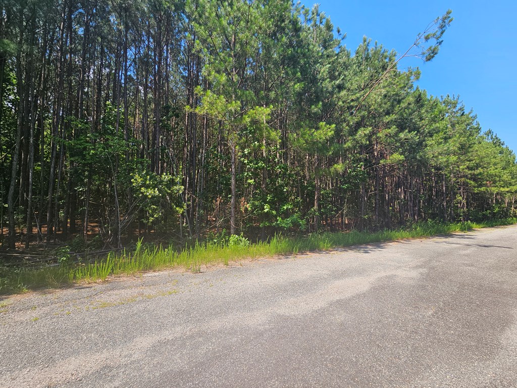 Lot 41 Stoneman Lane