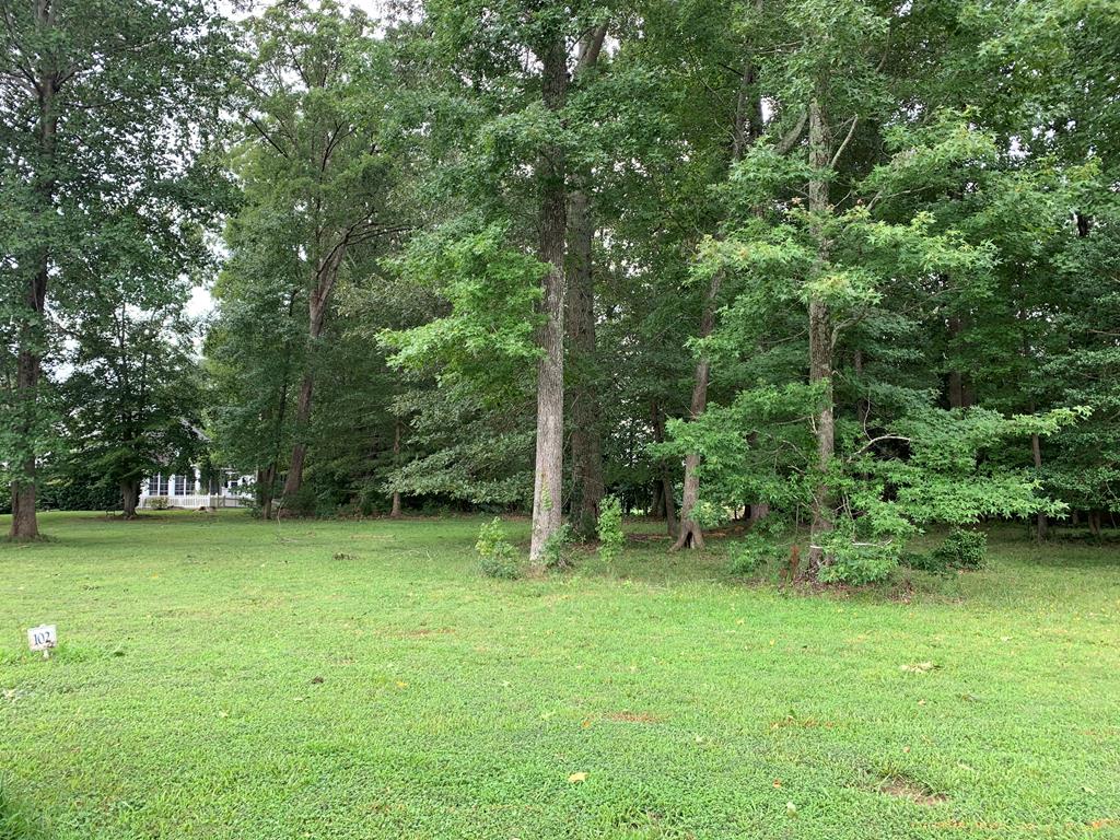Lot 102 Benjamin Alley