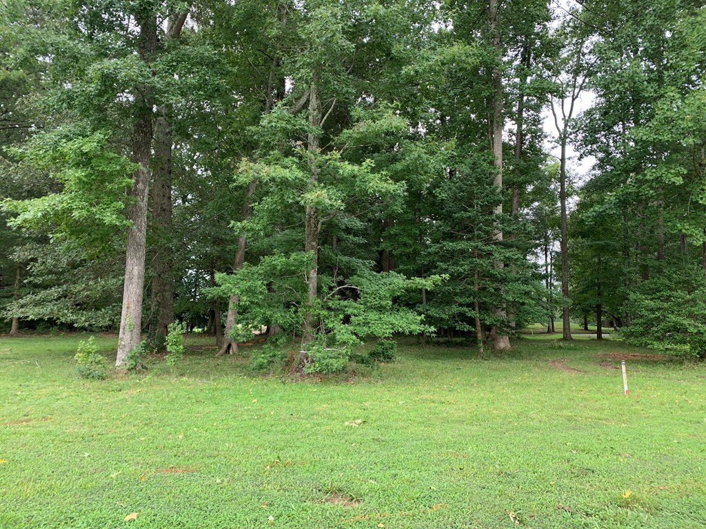 Lot 102 Benjamin Alley