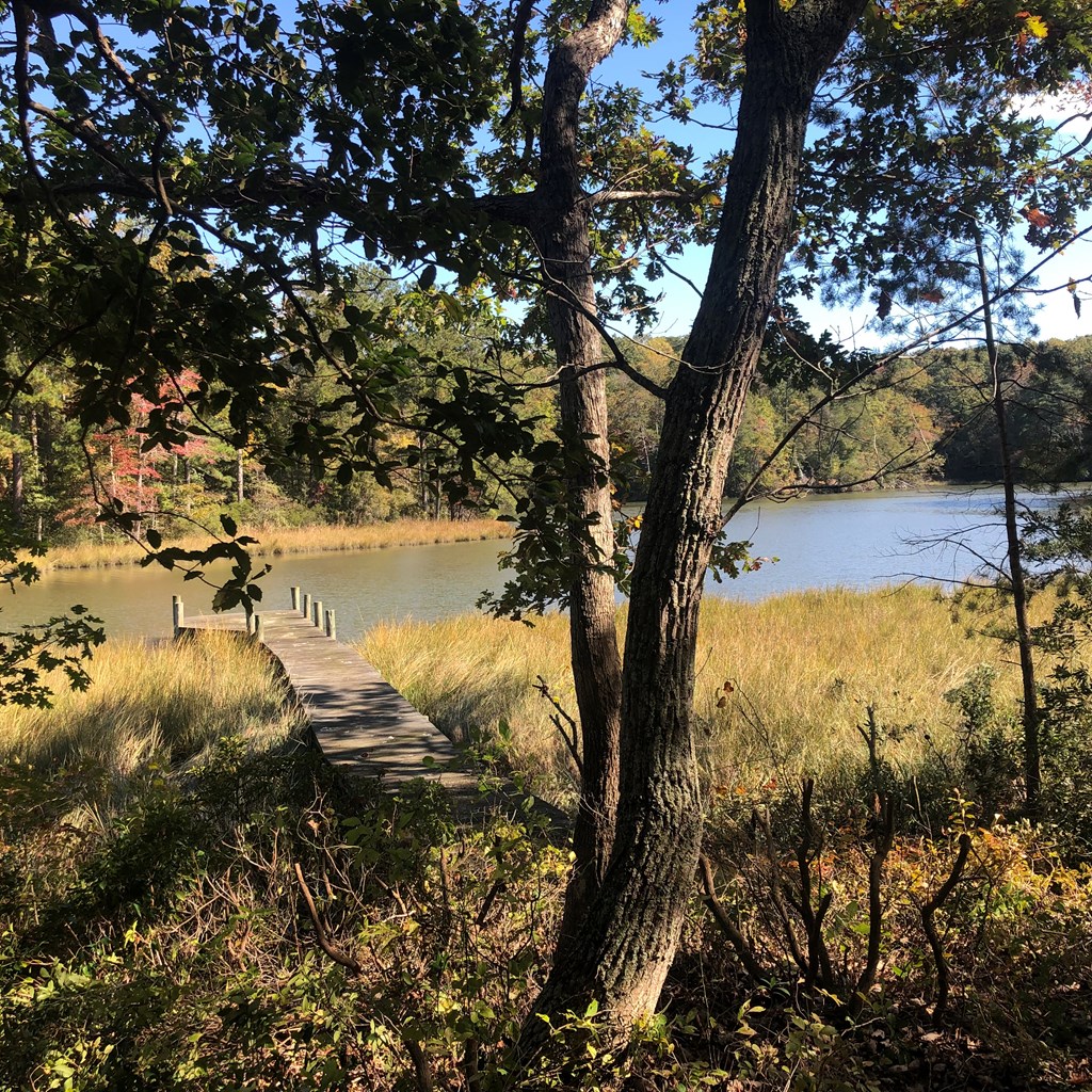 Lot 20-3 Wicomico Way