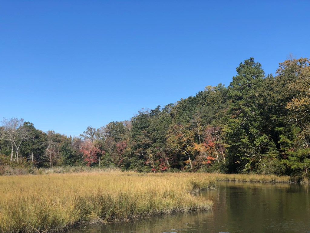 Lot 20-3 Wicomico Way