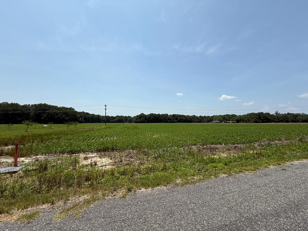 Lot 12 Paynes Shop Road