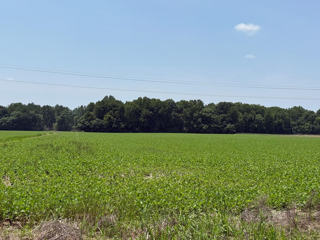 Lot 12 Paynes Shop Road