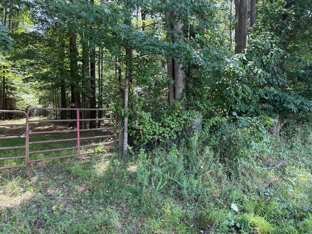 37-39 Field Trial Road