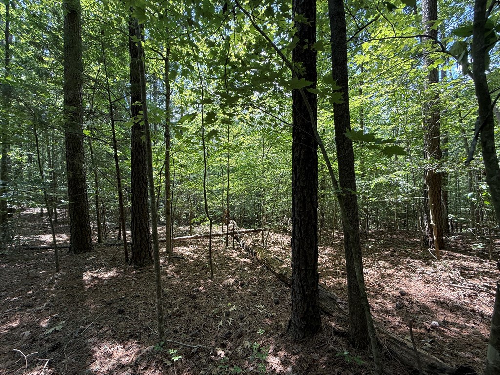 37-39 Field Trial Road
