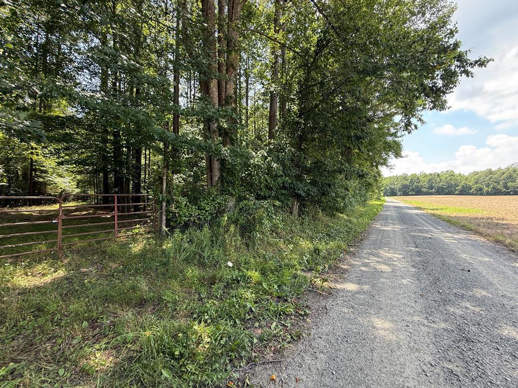 37-39 Field Trial Road