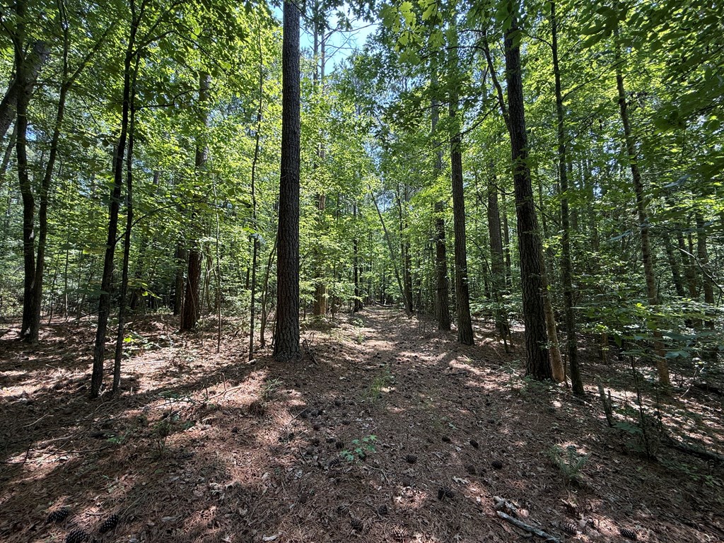 37-39 Field Trial Road
