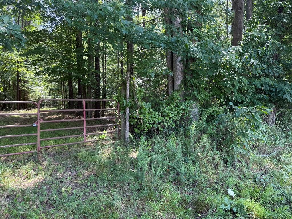 37-39 Field Trial Road