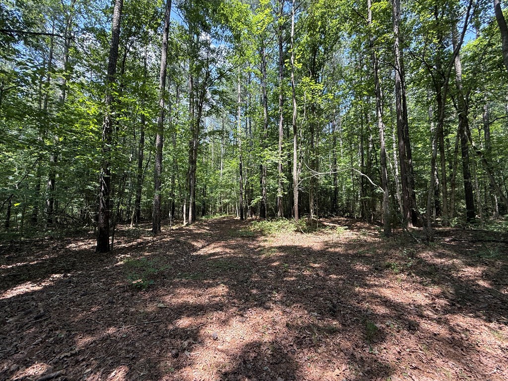 37-39 Field Trial Road