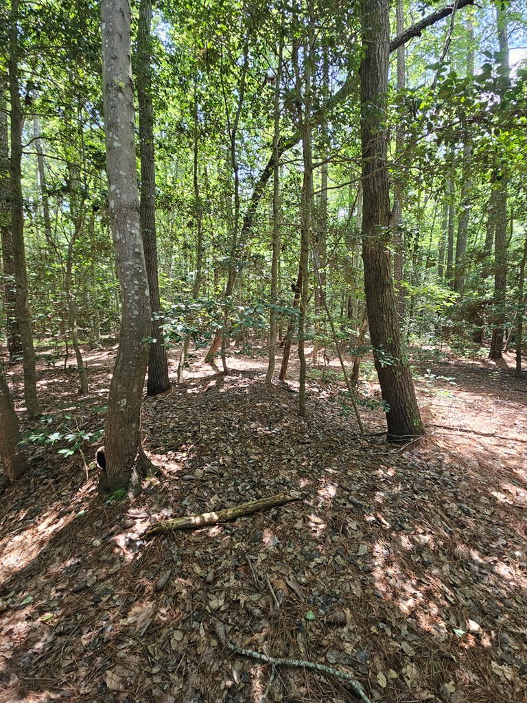 Lot 67 Cubitt Creek Rd