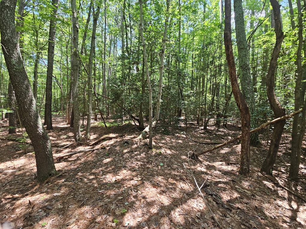 Lot 67 Cubitt Creek Rd