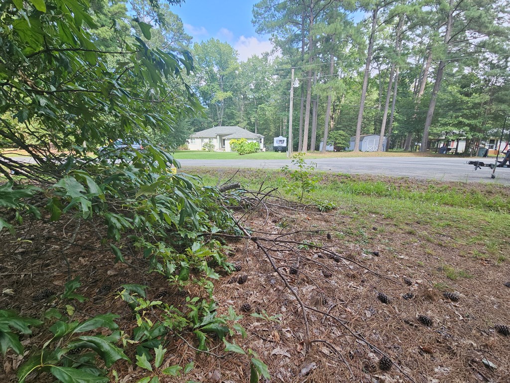 Lot 221 Egret Court