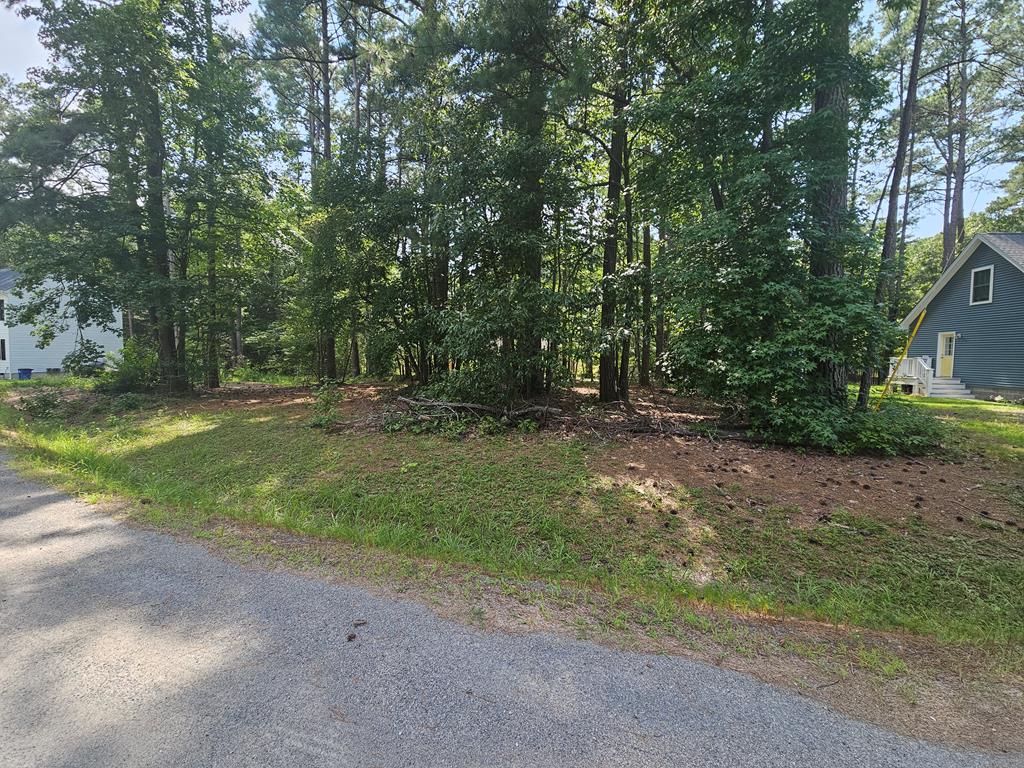 Lot 221 Egret Court
