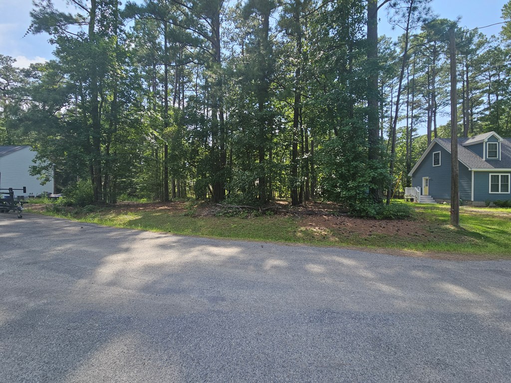 Lot 221 Egret Court