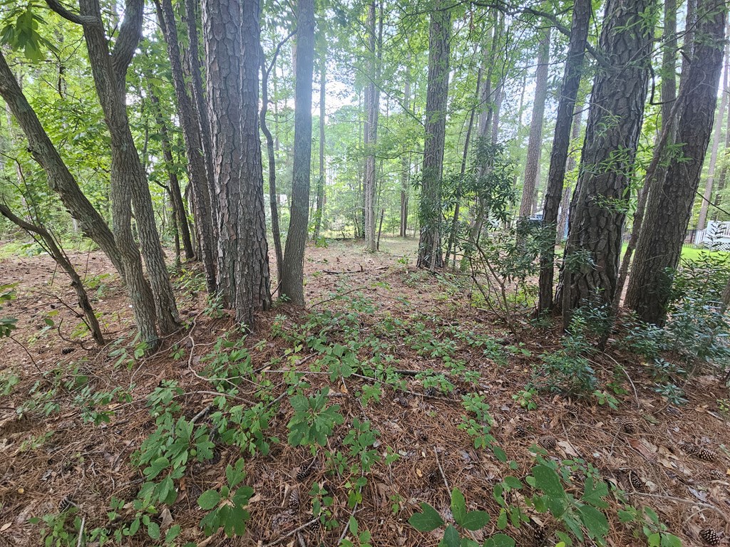 Lot 221 Egret Court