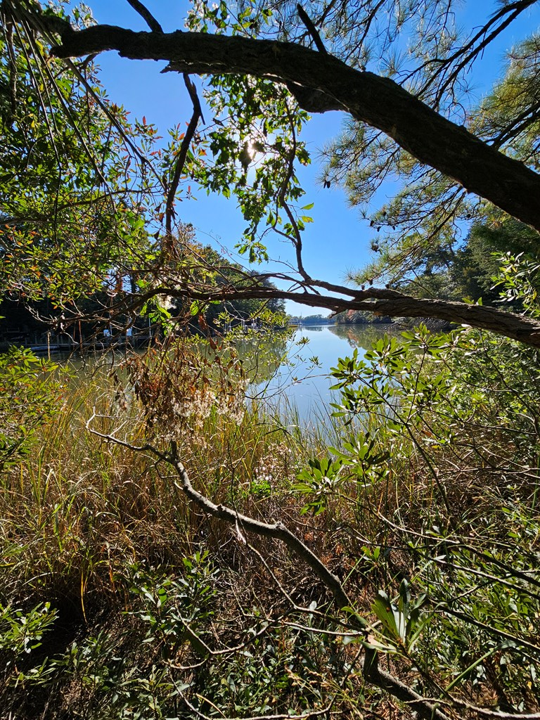 692 Whays Creek Road
