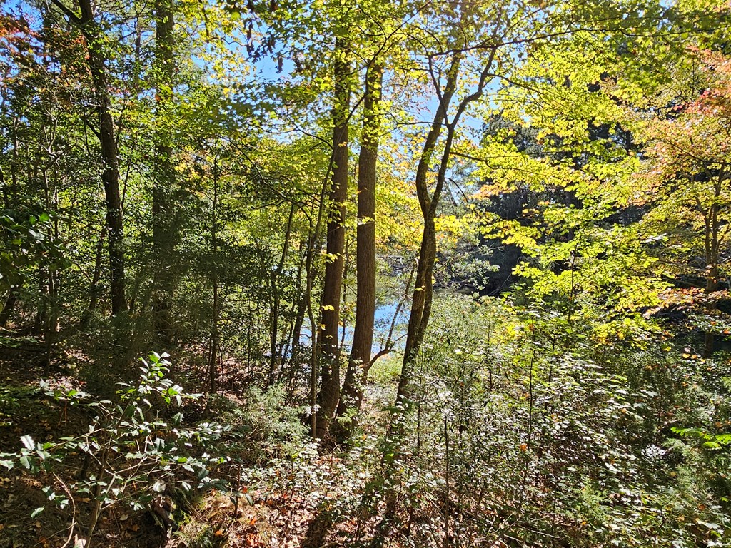 692 Whays Creek Road