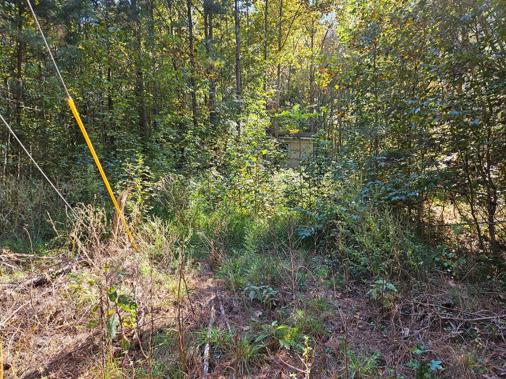 692 Whays Creek Road