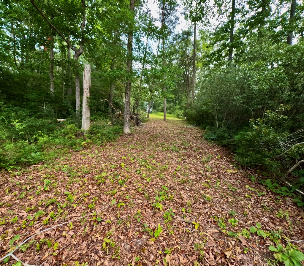 2 Hinton Farm Ln