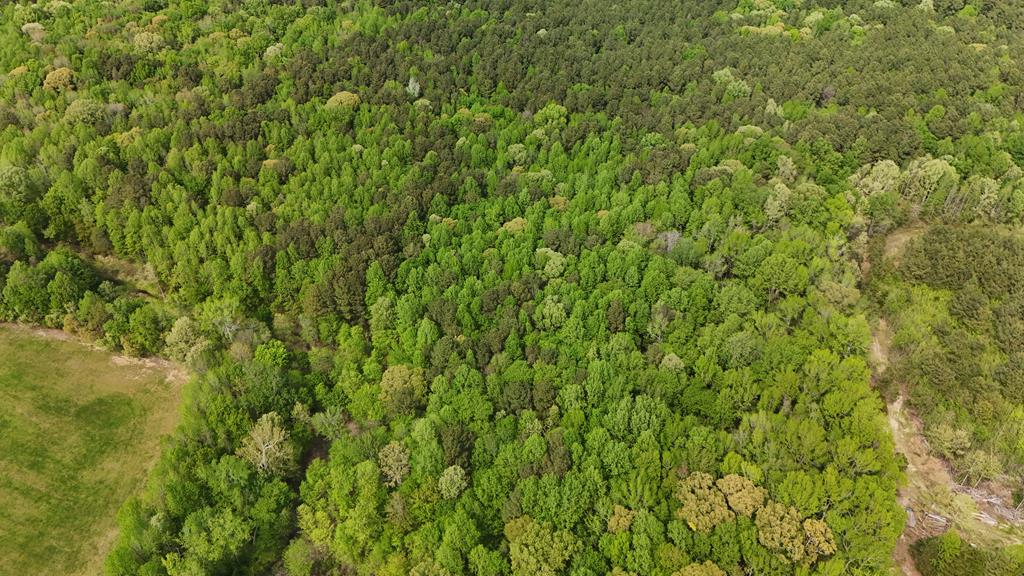40.44 AC River Road